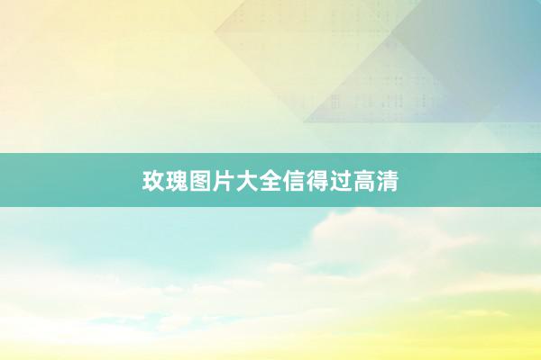 玫瑰图片大全信得过高清